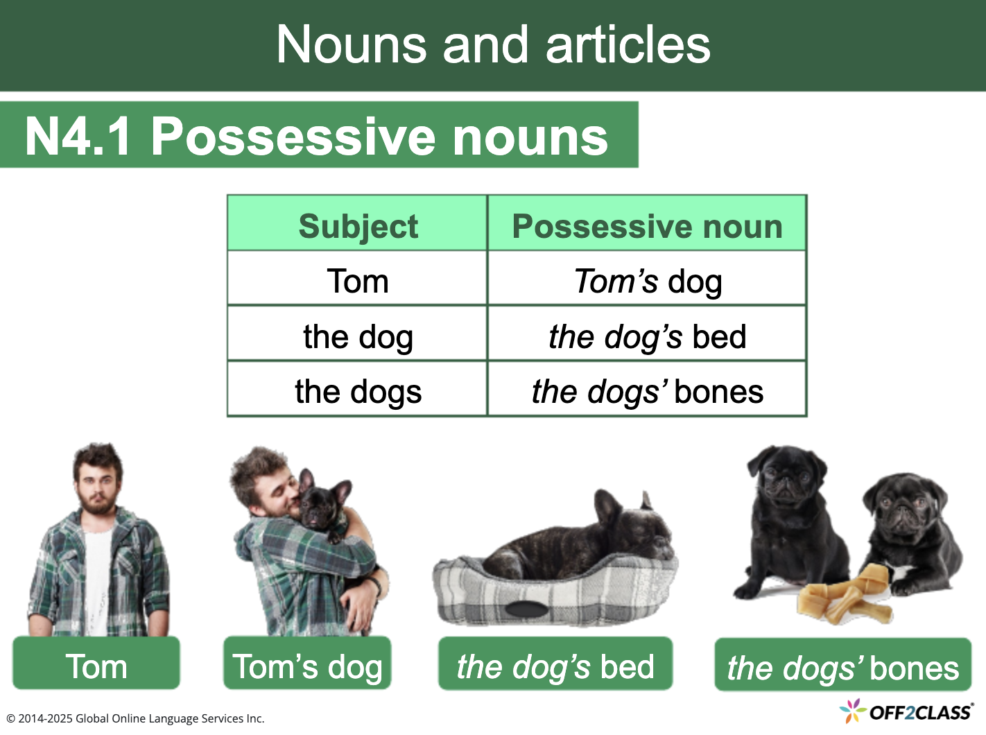 Possessive Nouns – Free ESL Lesson Plan [Updated 2025]